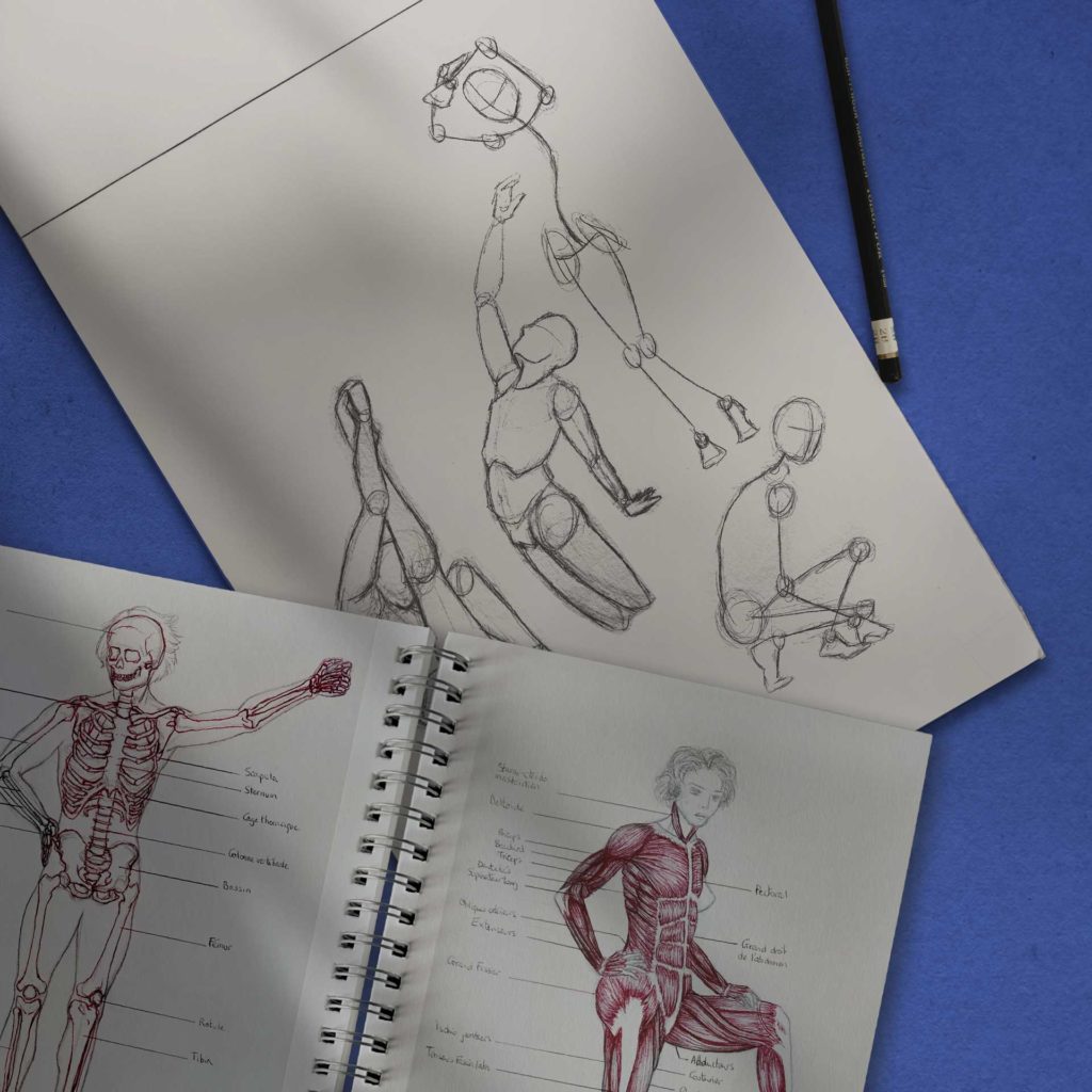 anatomie_etudes_papier