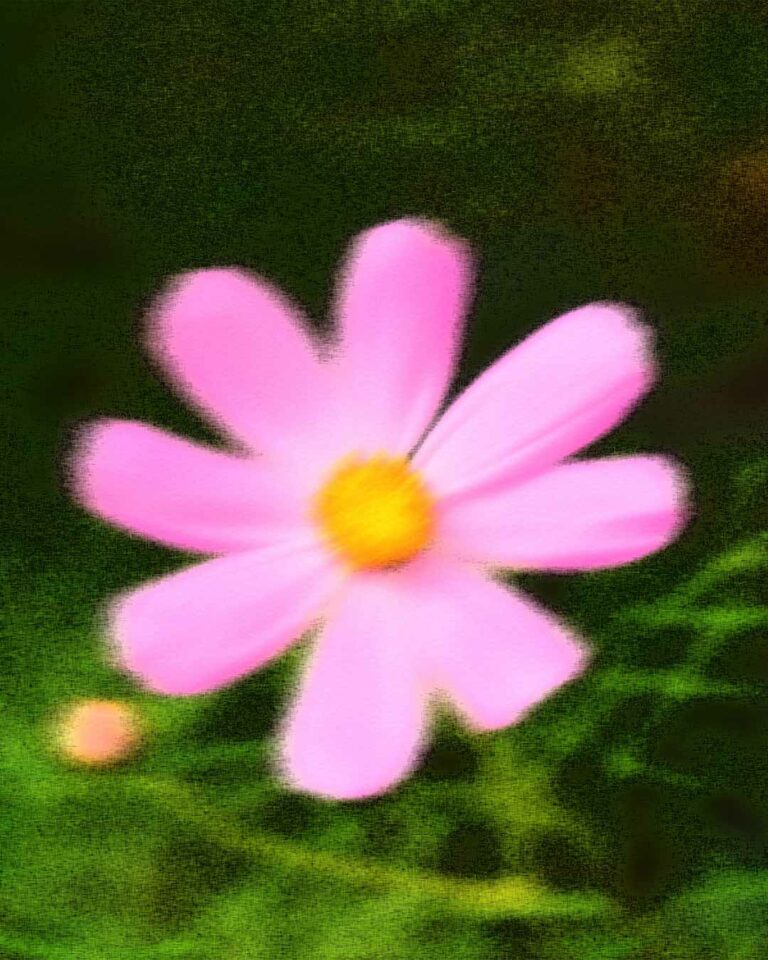 ENFLURE_LF_flower-pink